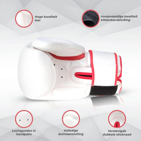 Bokshandschoen BG TR Wit